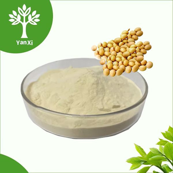 Soy isoflavones Powder Soy isoflavones Powder